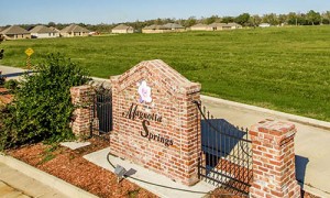 Magnolia Springs Neighborhood