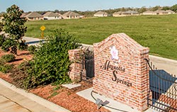 Entrance to Magnolia Springs