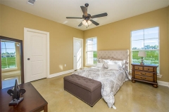 gallery__0003_pelican5