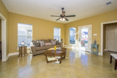 gallery__0004_pelican6
