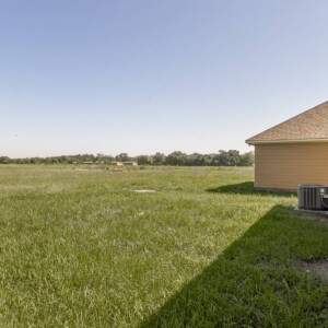 Side of the Willow model